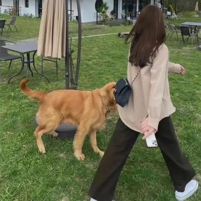 热恋女校